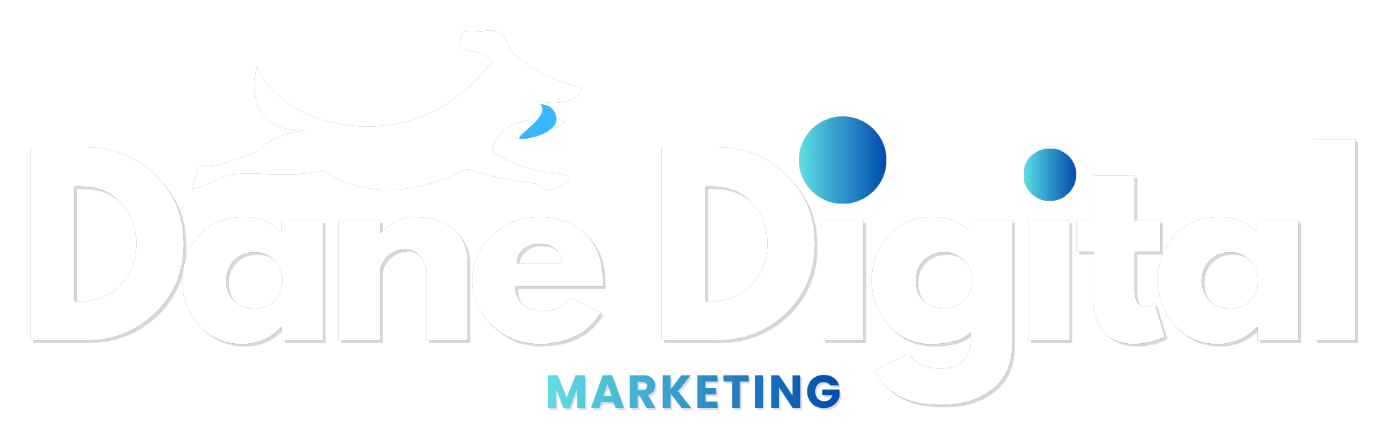 Dane Digital Marketing